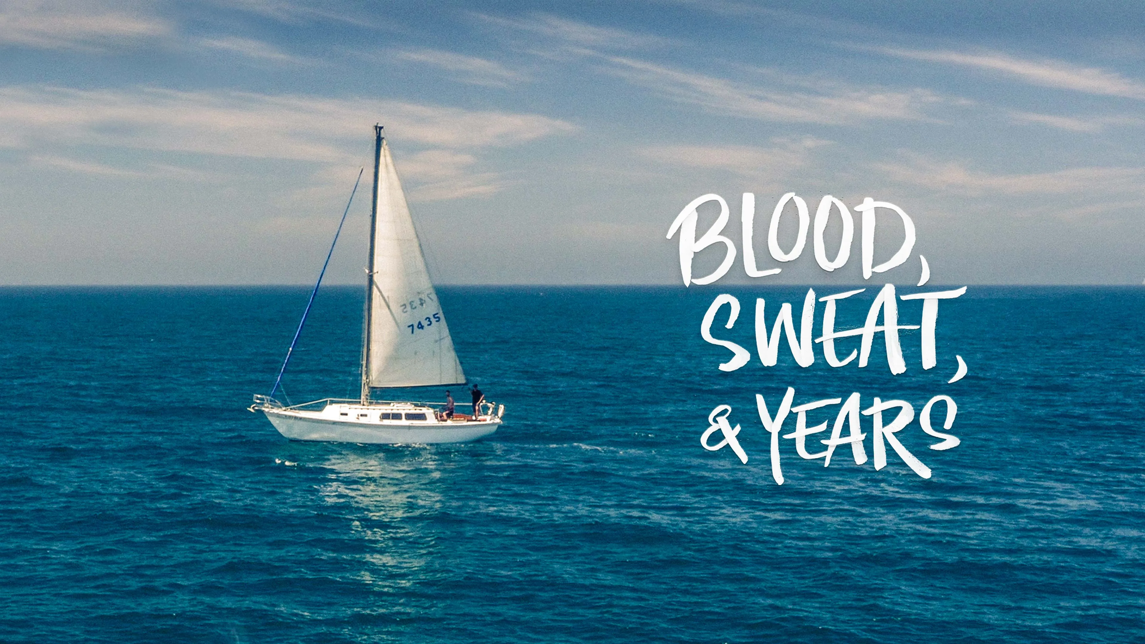 Blood, Sweat & Years poster